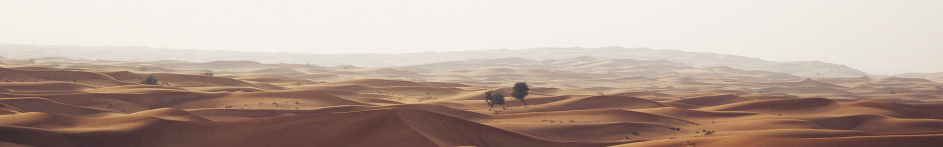 кʱƼ޹˾